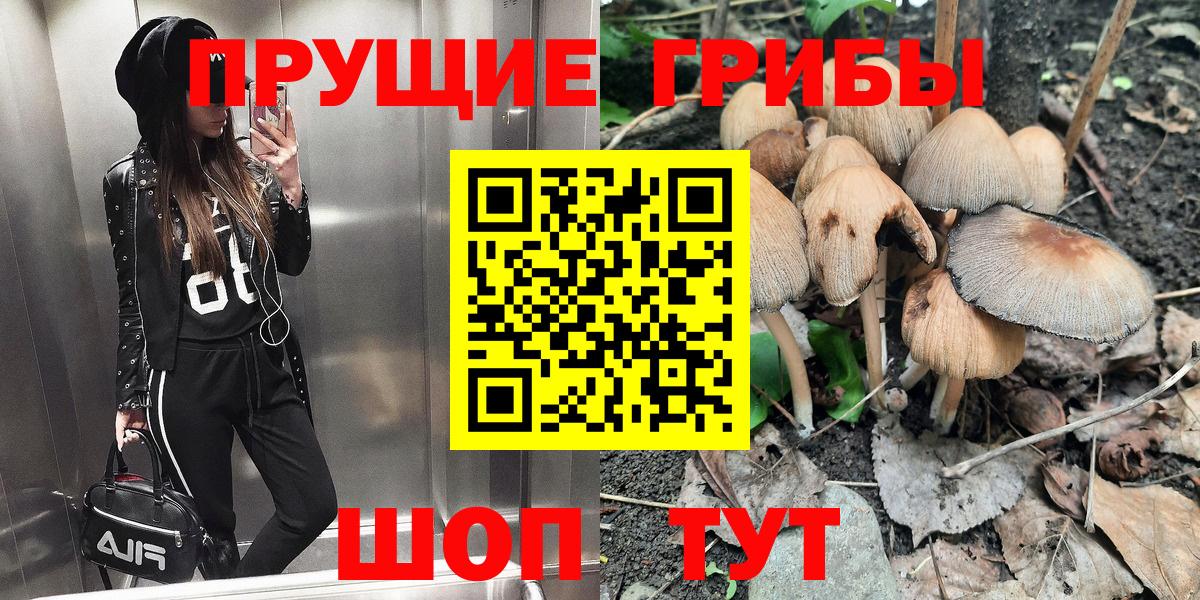 Псилоцибиновые грибы Cubensis Омск